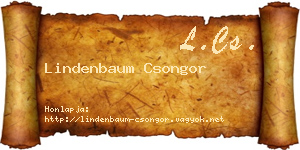 Lindenbaum Csongor névjegykártya